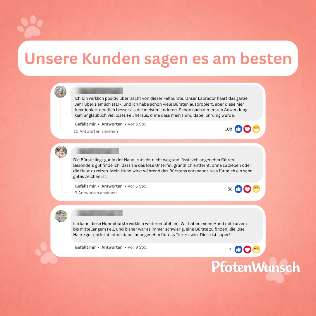 Fellbürste für Hunde