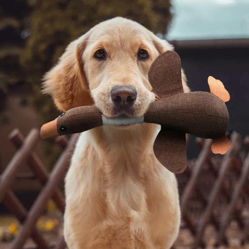 Hundespielzeug (1+1 GRATIS) – StarkGans