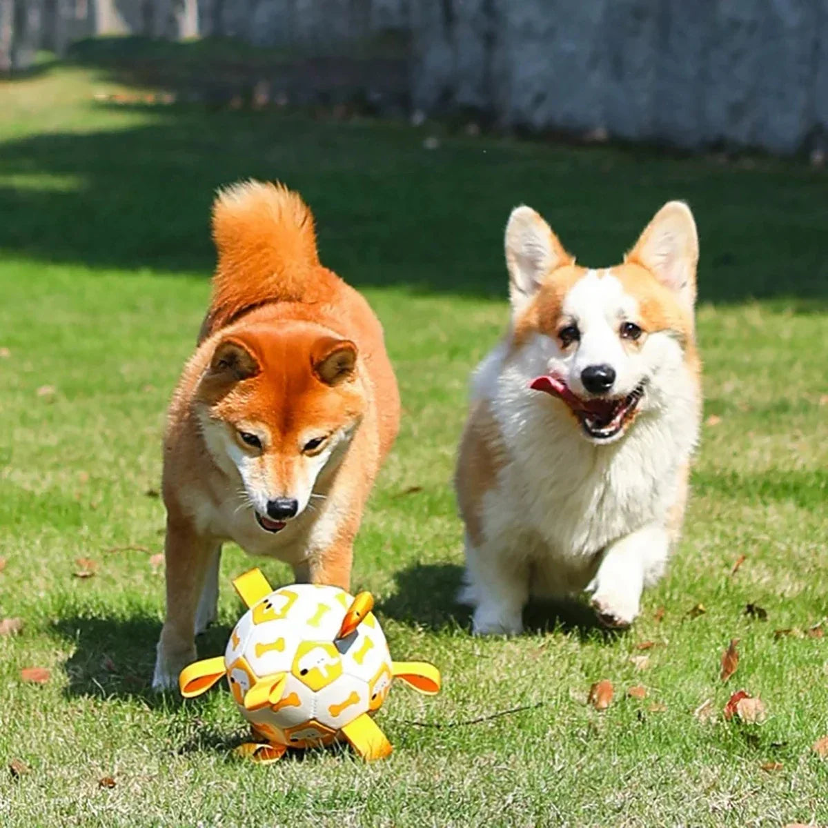 Hunde Ball Spielzeug mit integrierten Zugleinen