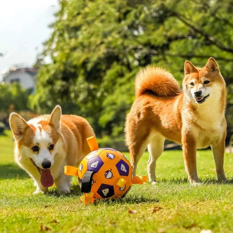 Hunde Ball Spielzeug mit integrierten Zugleinen