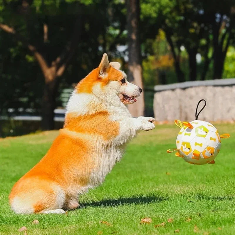 Hunde Ball Spielzeug mit integrierten Zugleinen