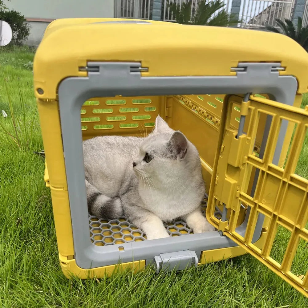 Faltbare Tiertranport Box