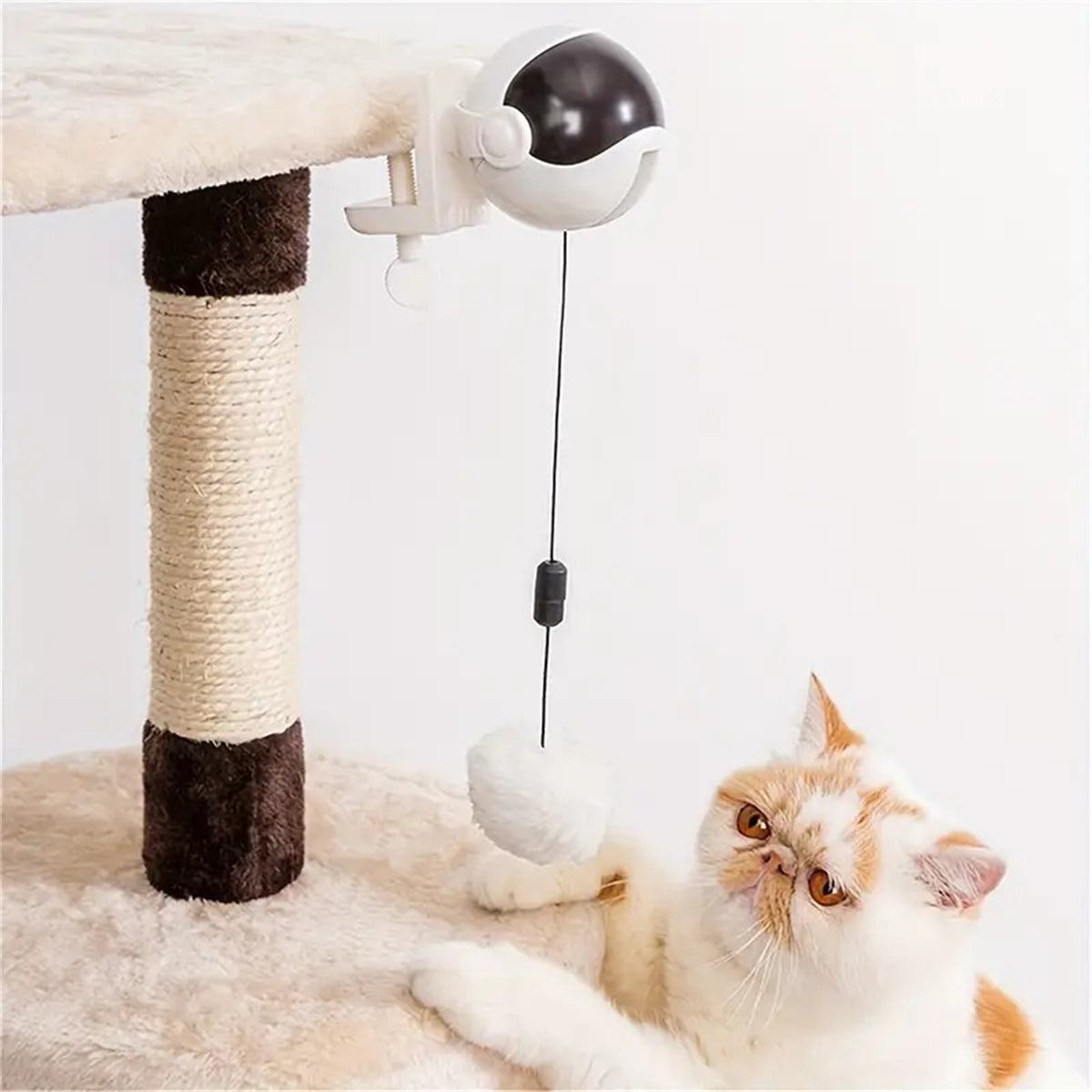Springform Multi-Color Cat Bouncing Kitten Toys