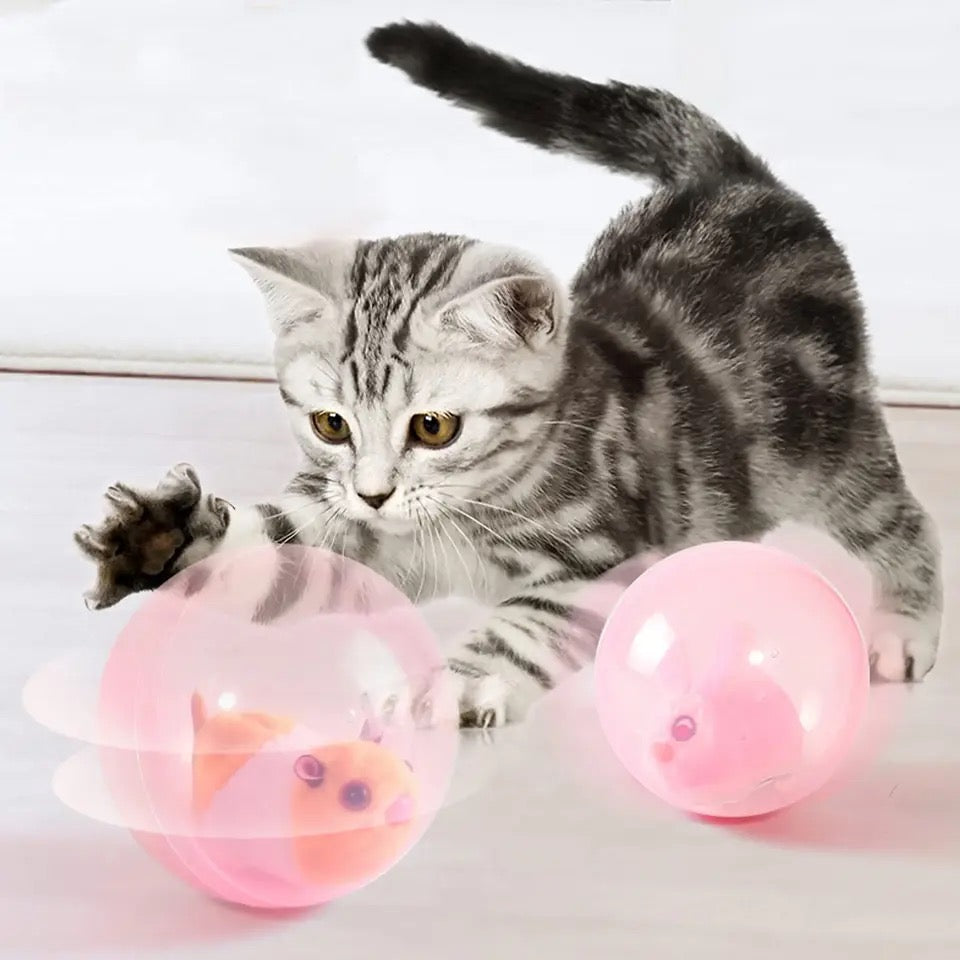 Rollender Hamster