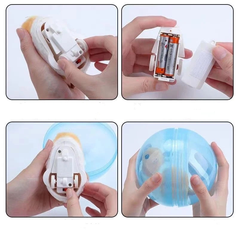 Rollender Hamster