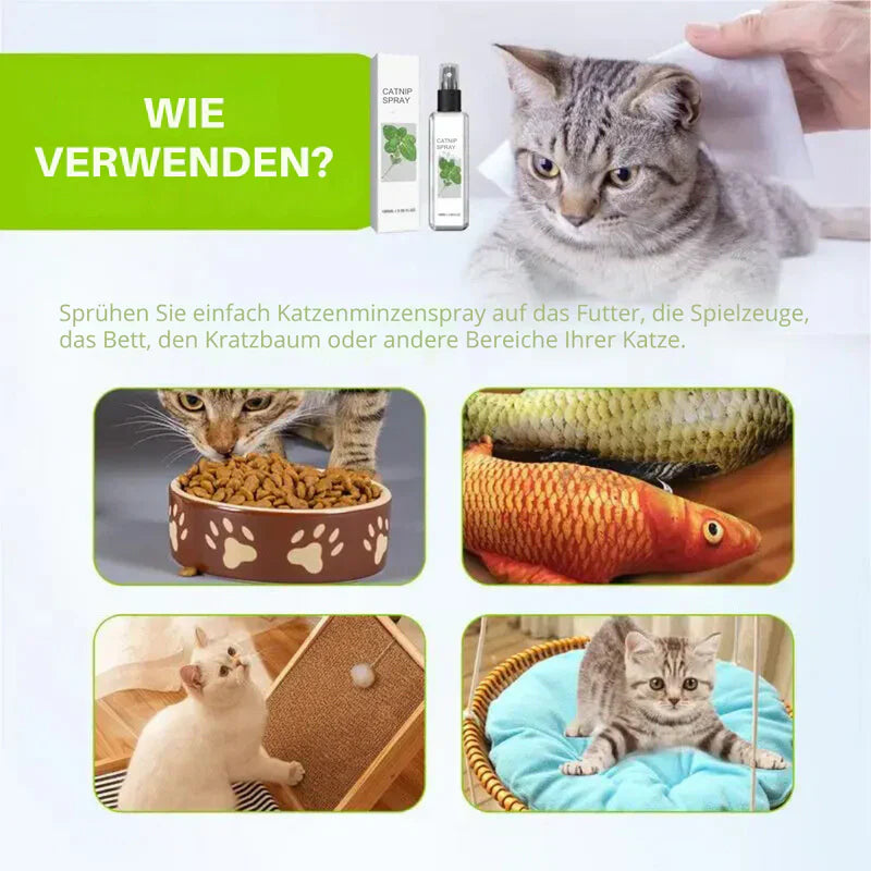Beruhigungs-Spray für Katzen - Silberblatt Spray