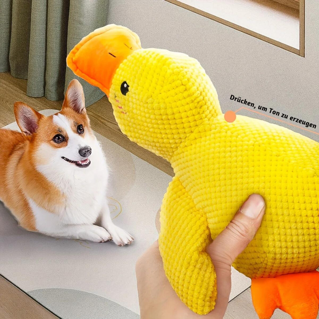 Anti-Stress Ente