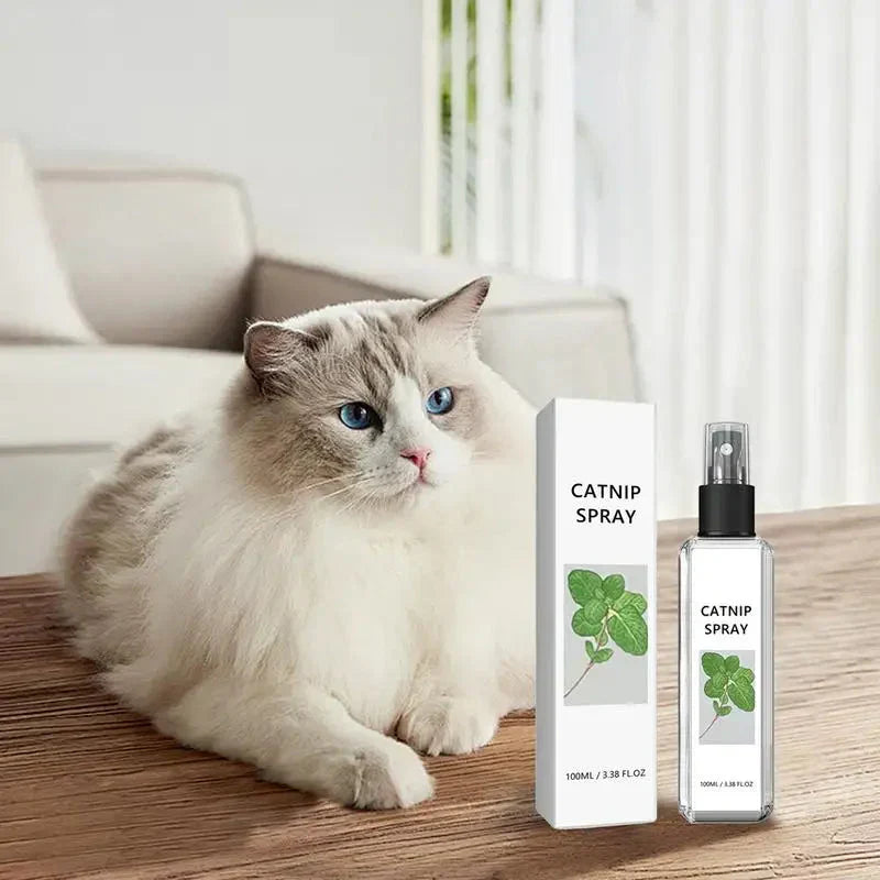 Beruhigungs-Spray für Katzen - Silberblatt Spray