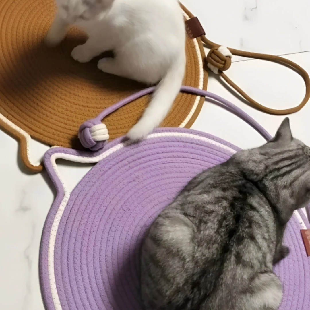 Baumwollseil Kratzmatte für Katzen - KrallenSchutz