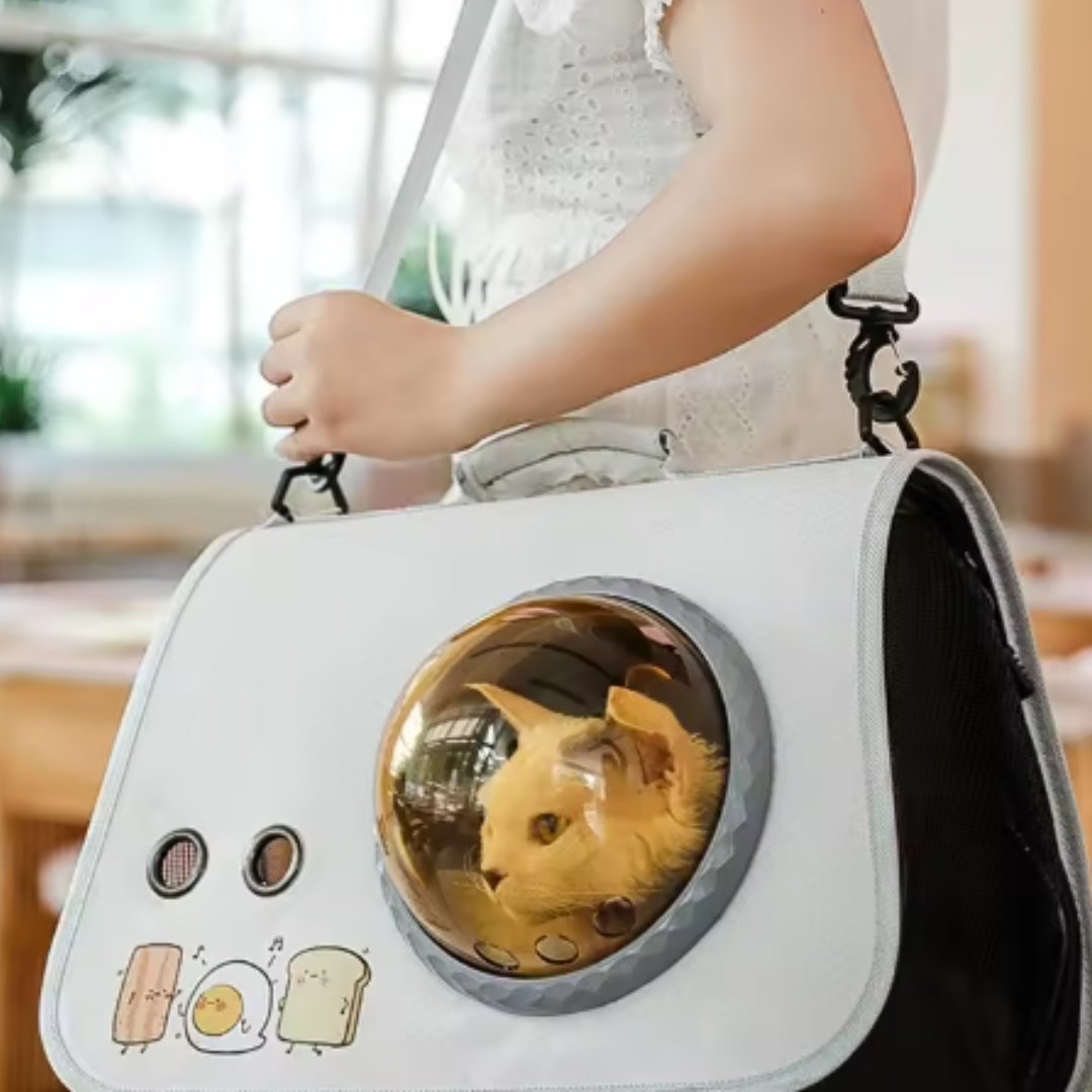 Flugzeug und Auto Reisetasche für Haustiere