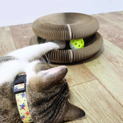 Spielspaß und Kratzfreude für deine Katze – SpielSpaß Kugel