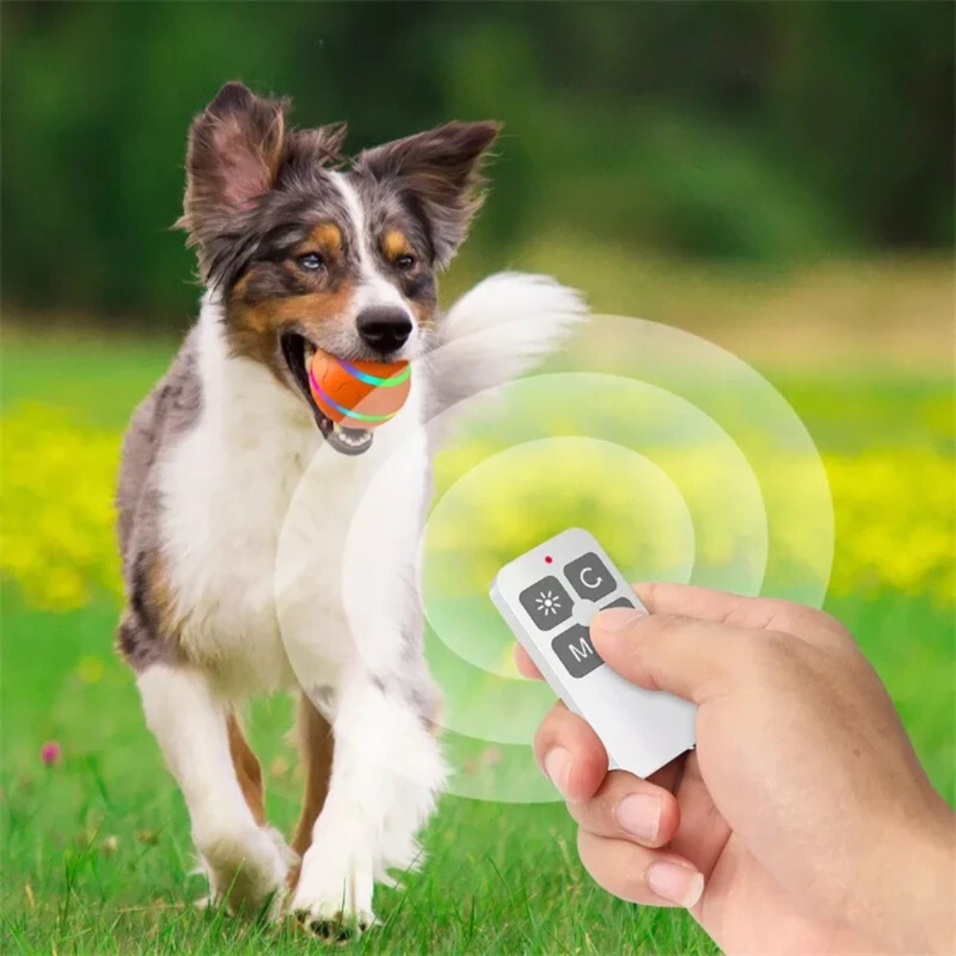 ActiveBall