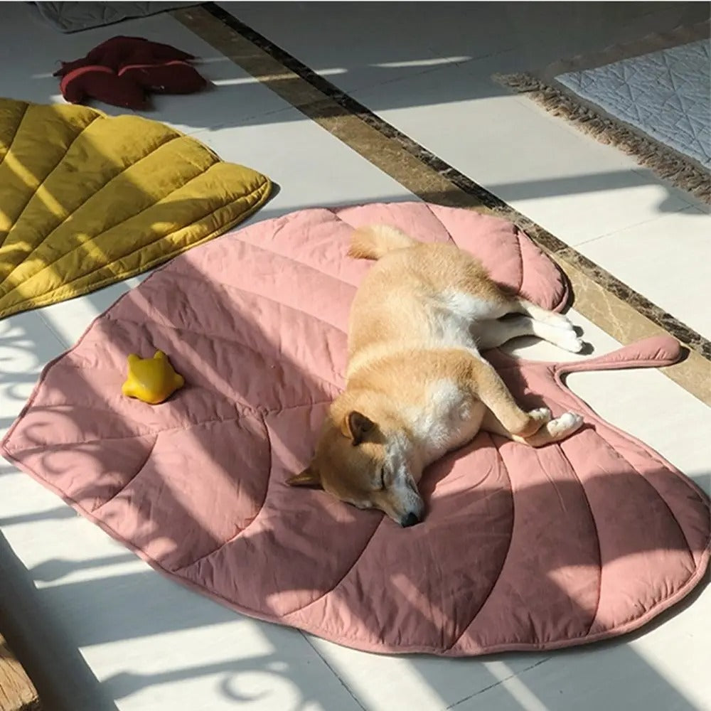 Fell Relax Matte