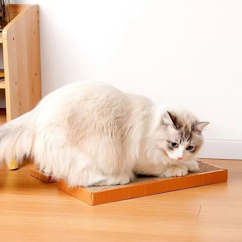 Katzen-Kratzmatte