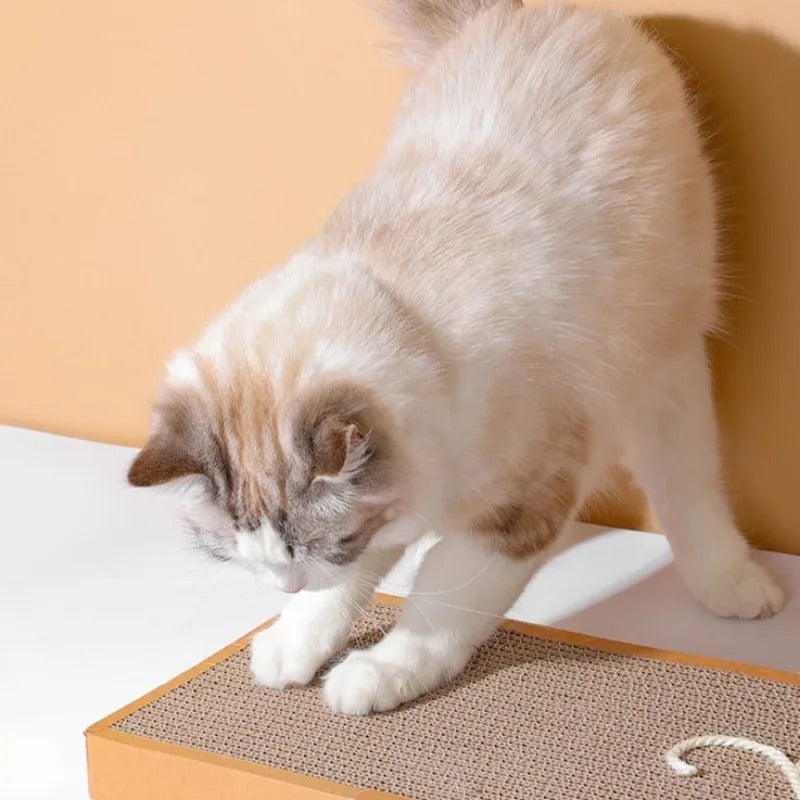 Katzen-Kratzmatte