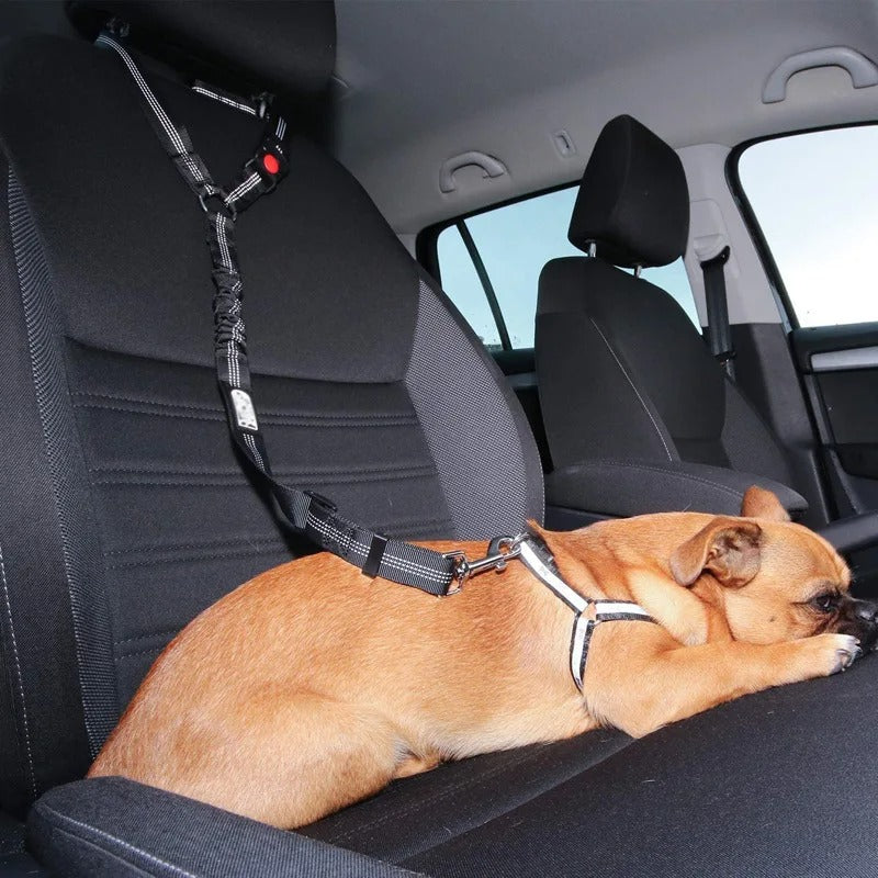 Auto Sicherheitsgurt für Hunde