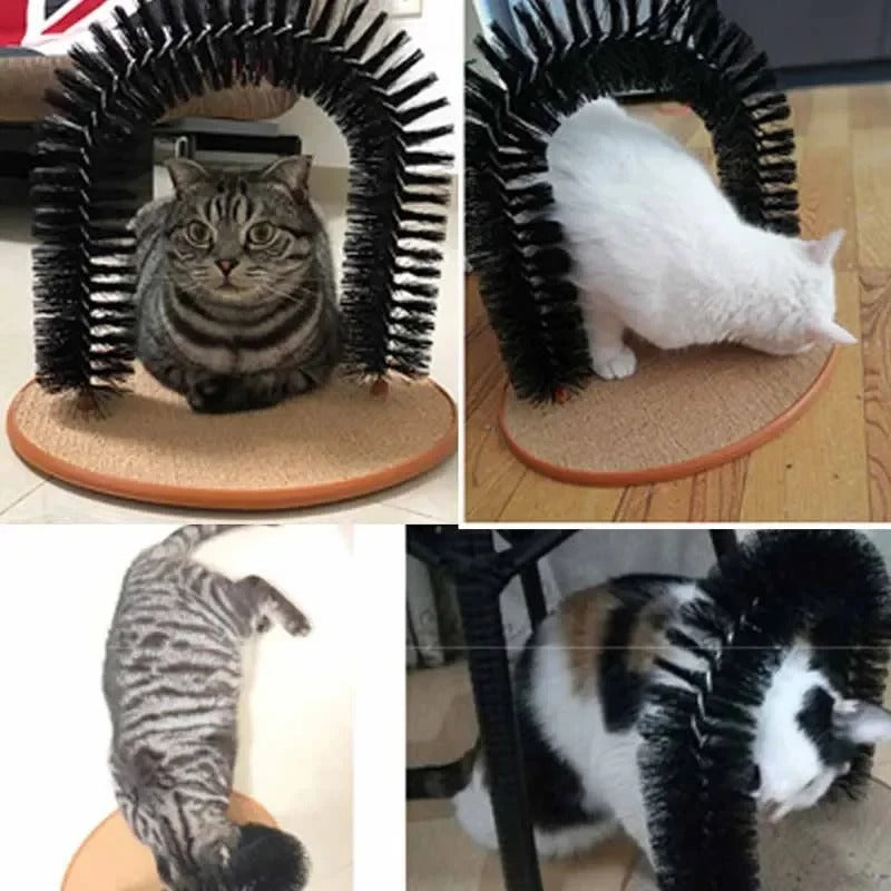 Katzenspielzeug Bogen Selbst-Grooming Pamper
