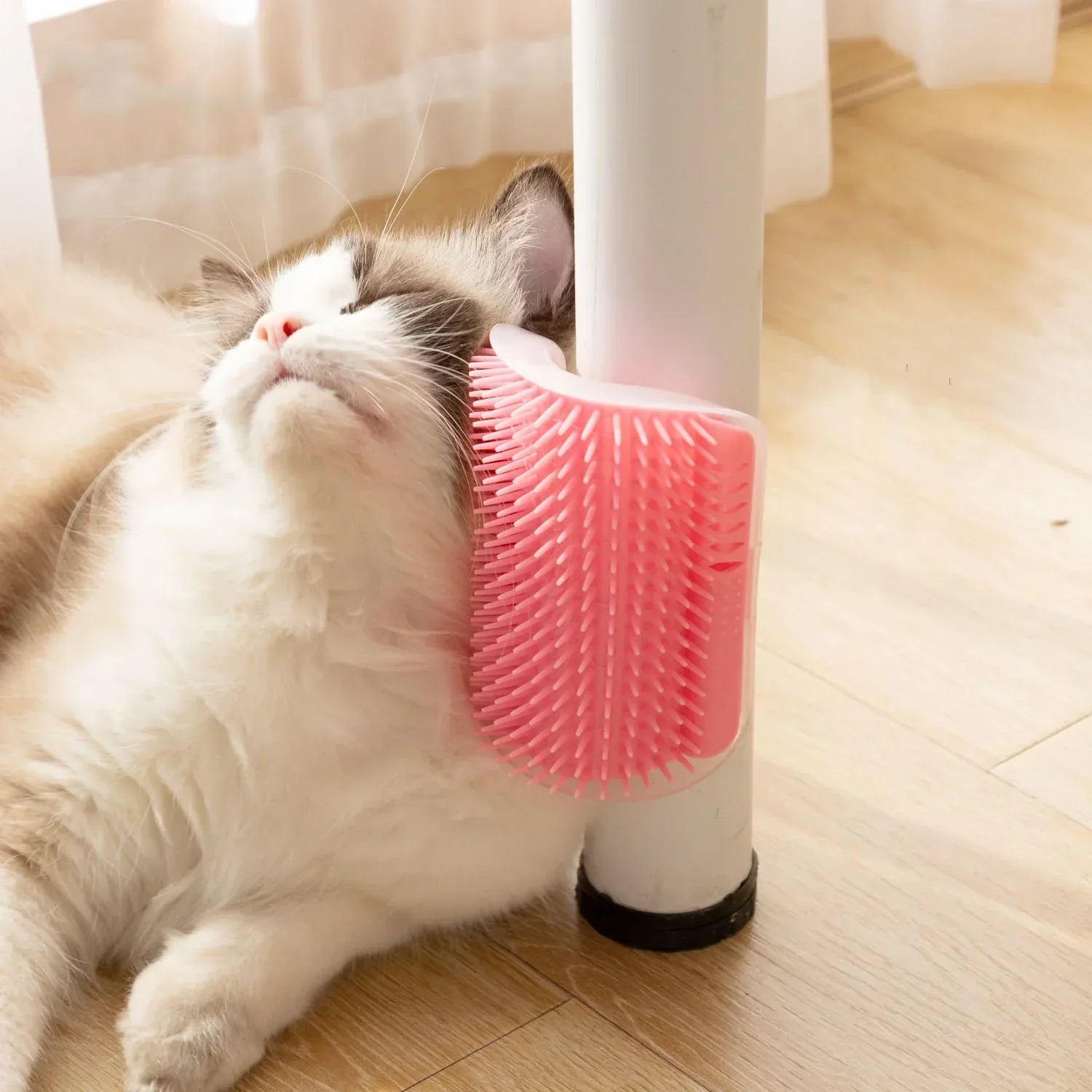 Katzen Wandbürste mit Katzenminze