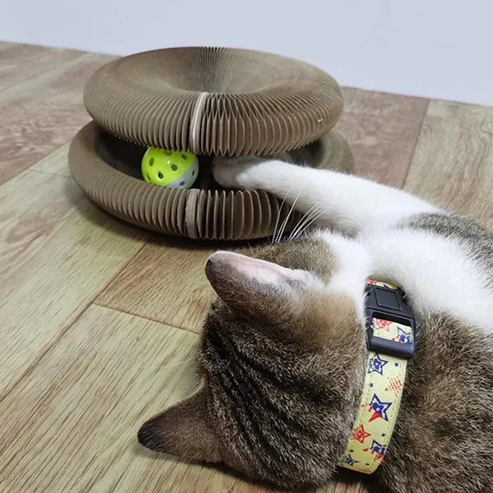 Aktiver Spaß für deine Katze – Spielpfote