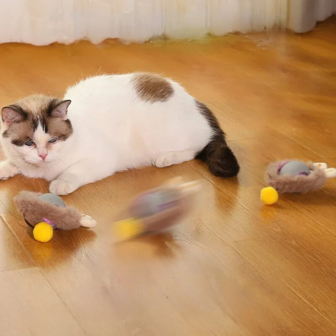 Interaktiver Spielball mit Schwanz für Katzen
