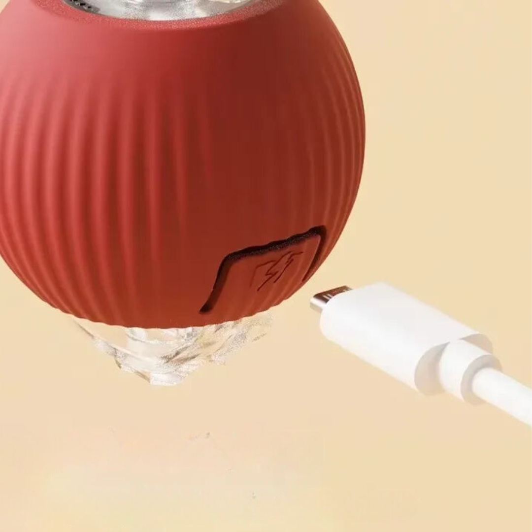 Interaktiver Spielball mit Schwanz für Katzen