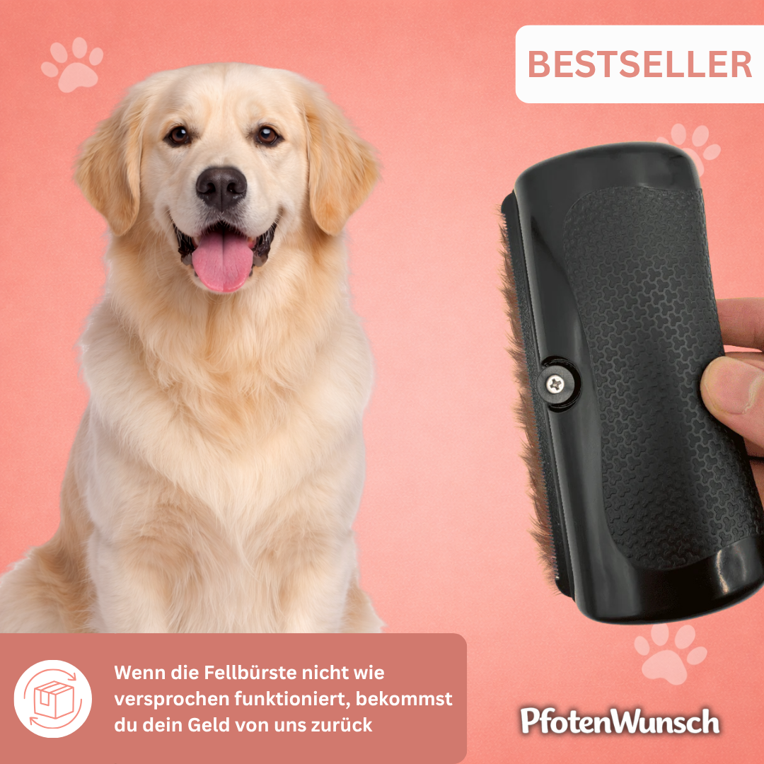 Fellbürste für Hunde
