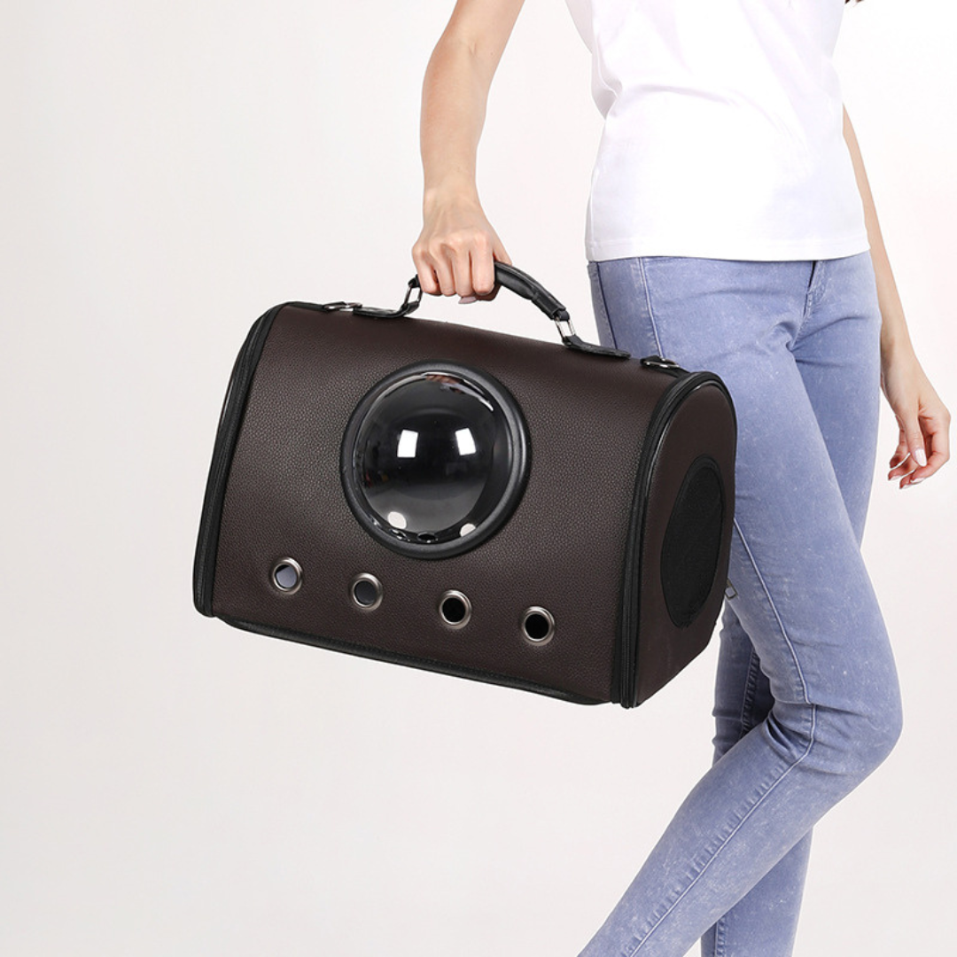 Flugzeug und Auto Reisetasche für Haustiere
