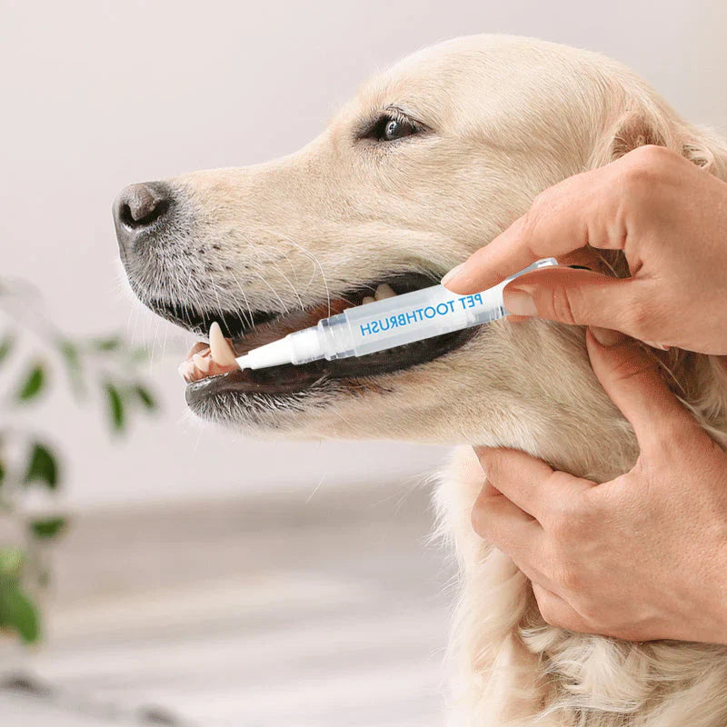 Zahnpflege Stift für Haustiere