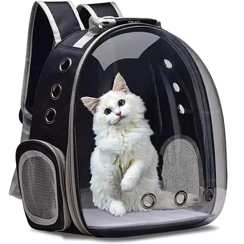 PfotenReise Haustier-Rucksack