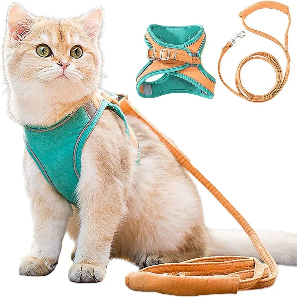 Katzen Geschirr – Sicher und Komfortabel für Abenteuer im Freien