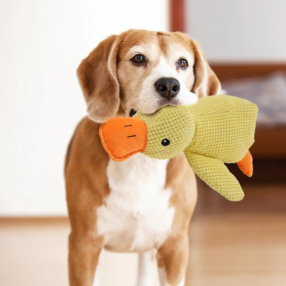 DuckBuddy - Plüsch Hundespielzeug