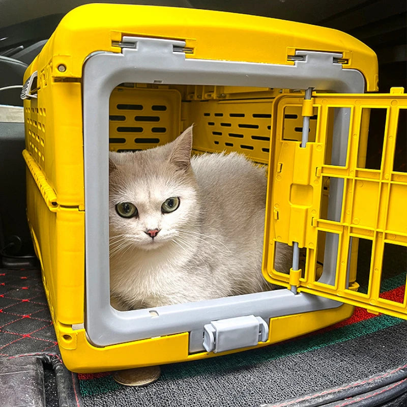Faltbare Tiertranport Box