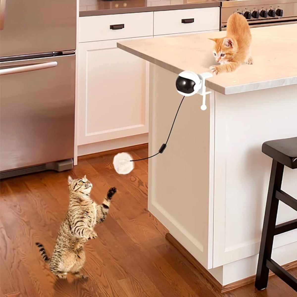 Springform Multi-Color Cat Bouncing Kitten Toys