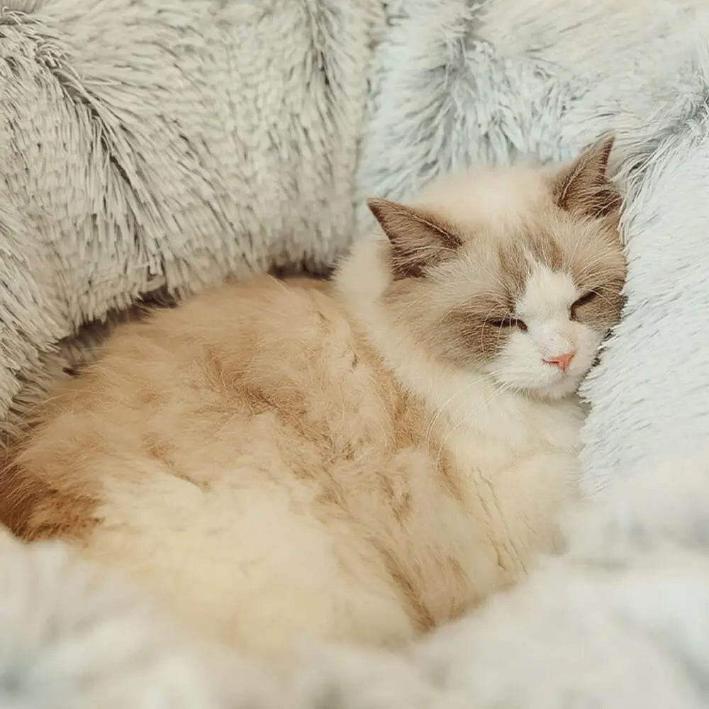 Katzen Plüschtunnel Spielbett