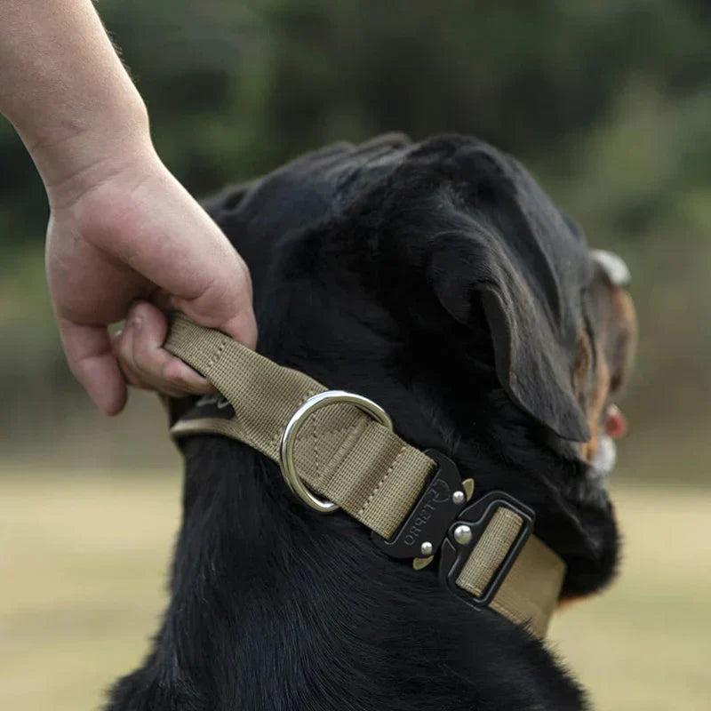 Taktisches Hundehalsband mit Griff – GripMeister