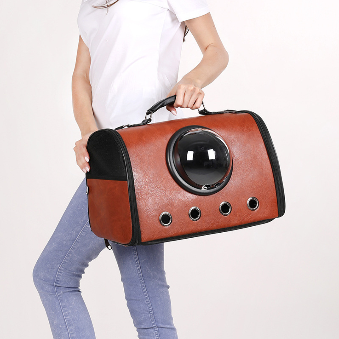 Flugzeug und Auto Reisetasche für Haustiere