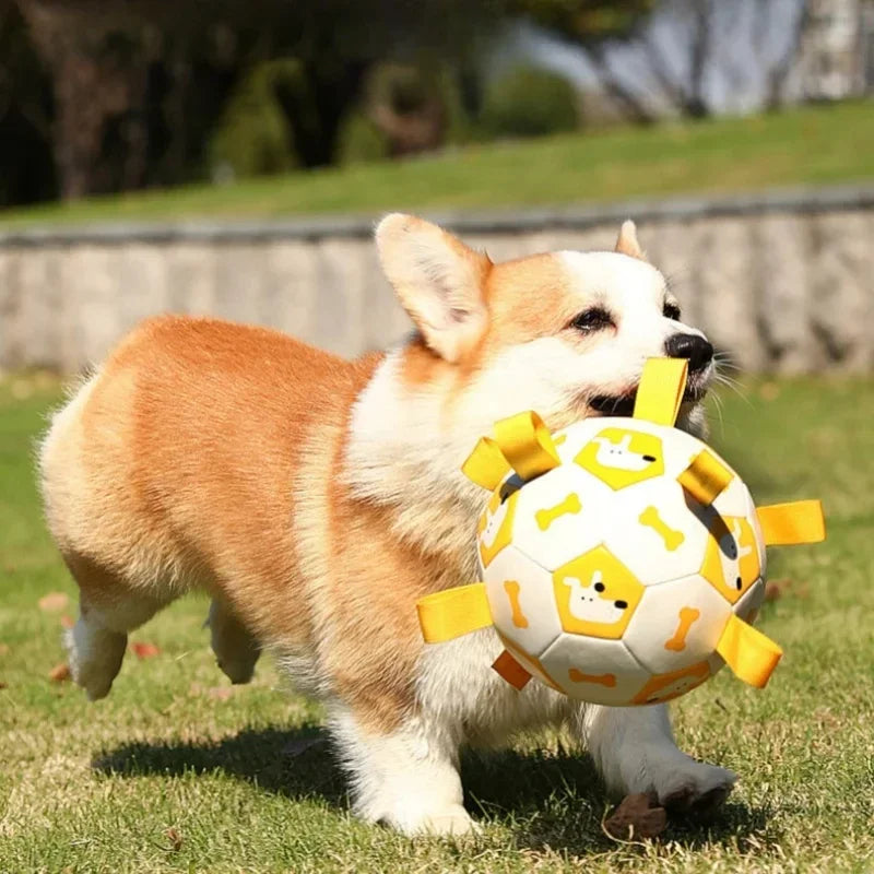 Hunde Ball Spielzeug mit integrierten Zugleinen