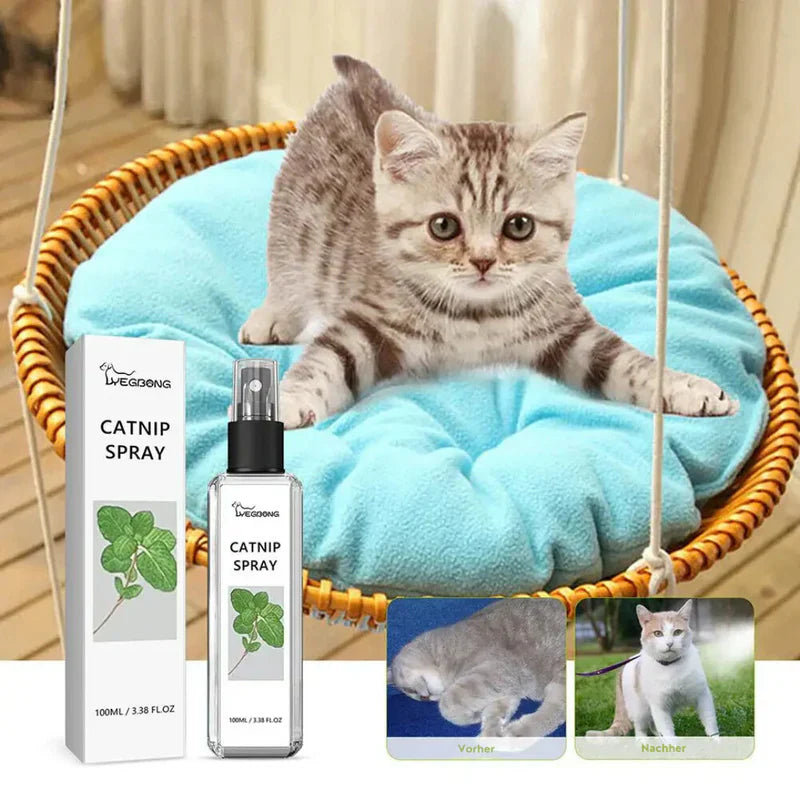 Beruhigungs-Spray für Katzen - Silberblatt Spray