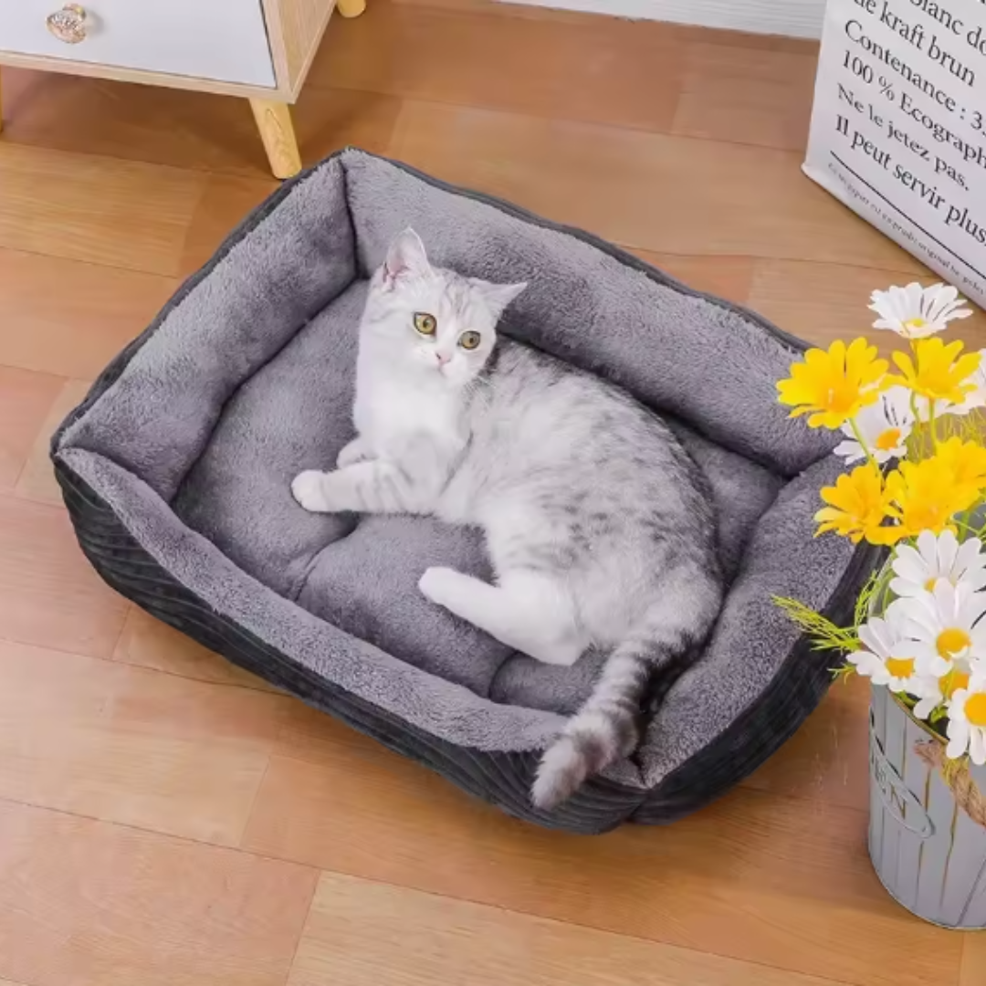 KuschelNest Orthobed – Orthopädisches Plüsch-Haustierbett