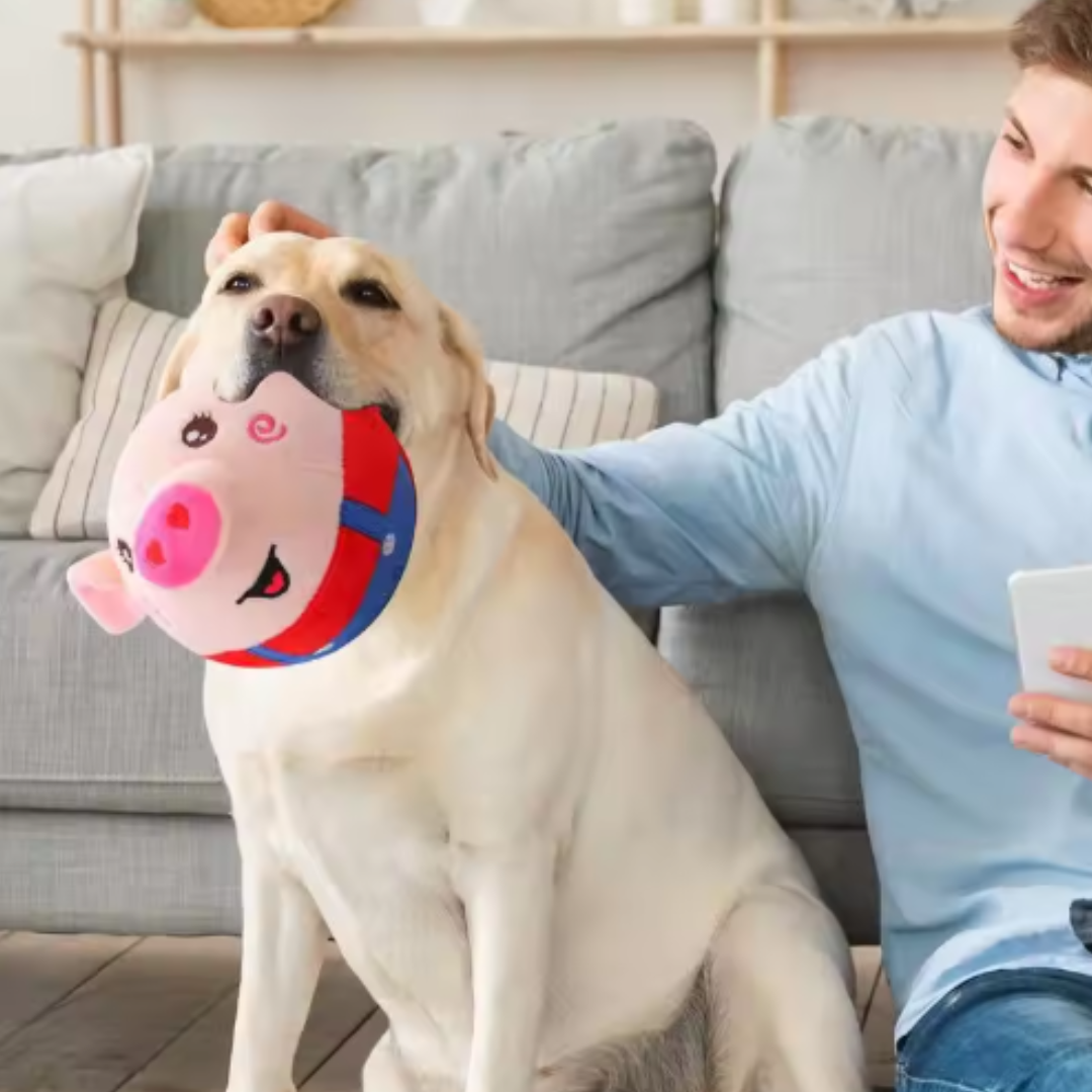 HundeRover: Unbegrenzter Spaß für deinen Hund