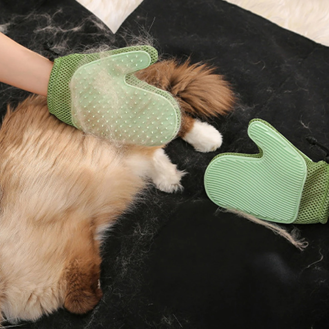 2-in-1 Katzen Handschuh zur Fellpflege