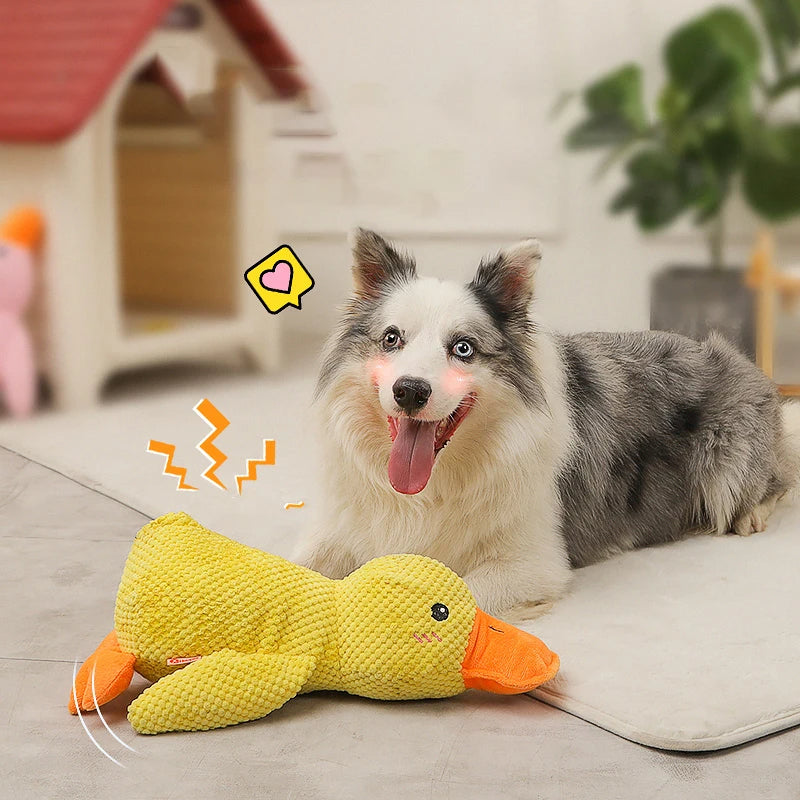 Anti-Stress Ente