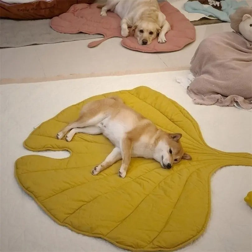 Fell Relax Matte