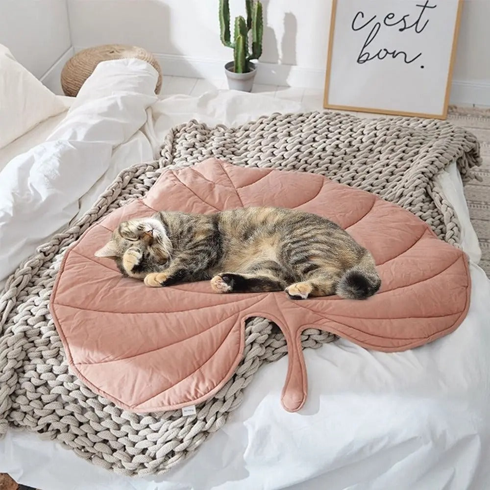 Fell Relax Matte
