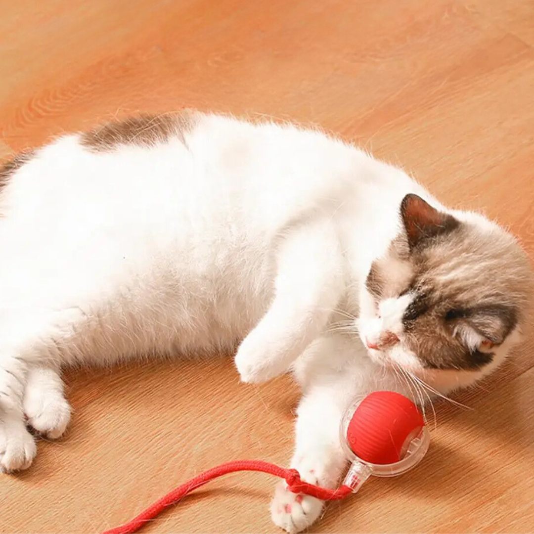 Interaktiver Spielball mit Schwanz für Katzen