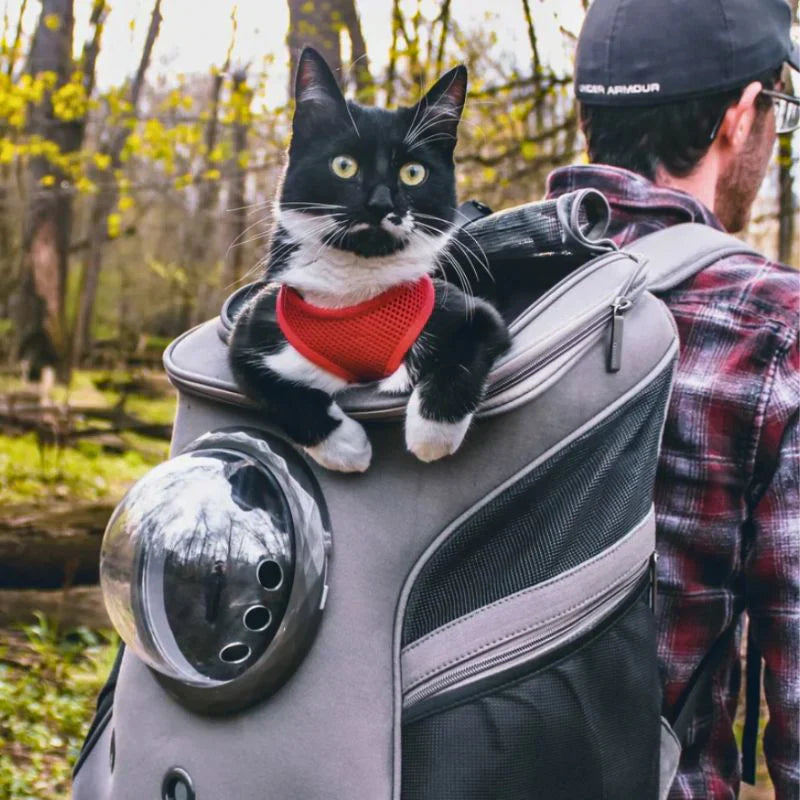 Reisetasche für Katzen – PurrTrek