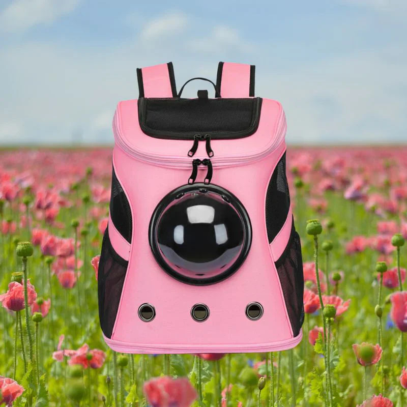 Reisetasche für Katzen – PurrTrek